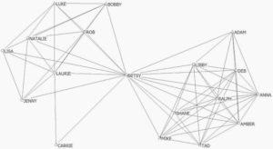compartmentalizer-network