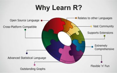 The futuRe of statistics.. is R…
