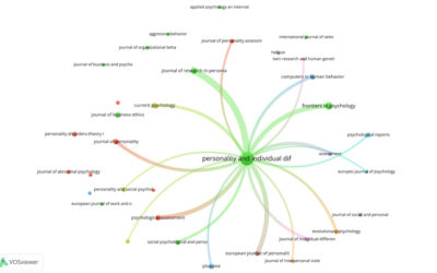 How can bibliometric reviews contribute to theoretical advancement in management scholarship?