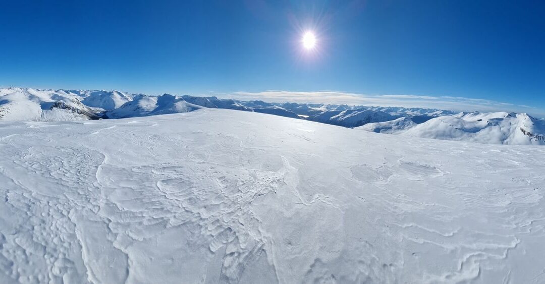 Auskjeret fra Øverøye i Stordal