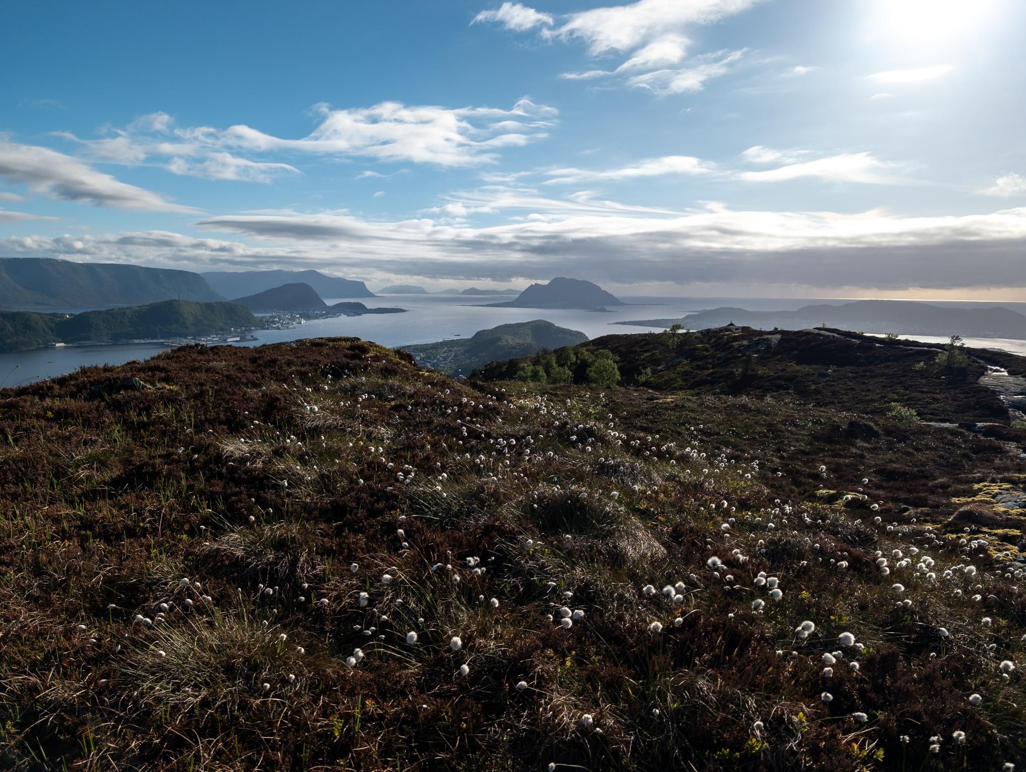 Lynghei med myrull, fjord, øyer og fjell sett fra Rørene på Ellingsøya.